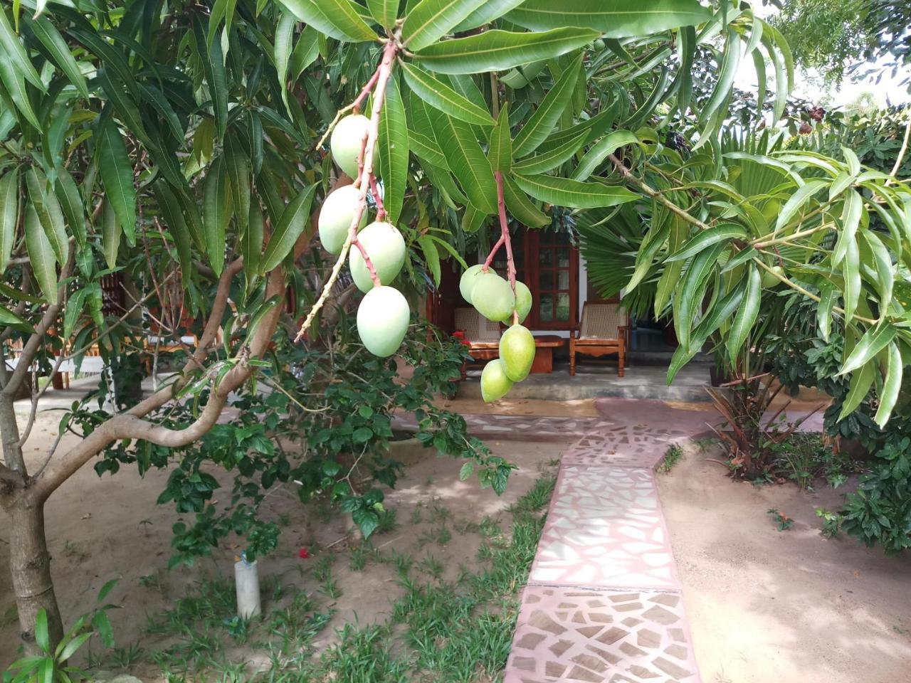 Passikudah Inn On The Bay מראה חיצוני תמונה